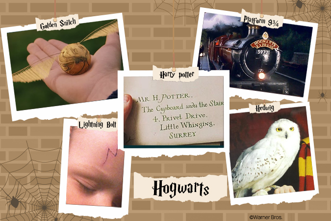 Everything You Need To Know About Harry Potter