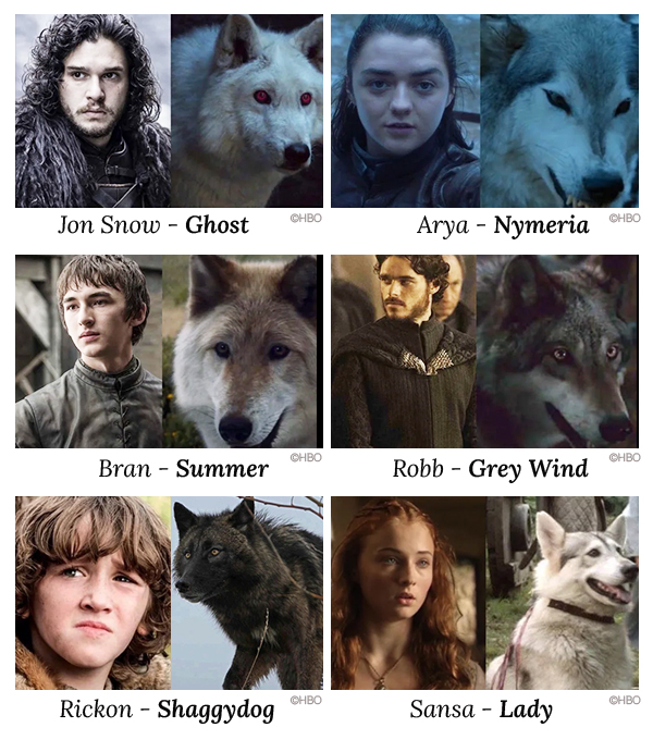 Meet the Stark Pack