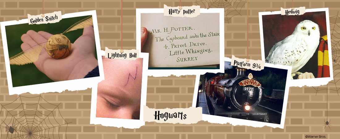 Everything You Need To Know About Harry Potter