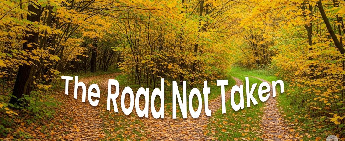 the road not taken