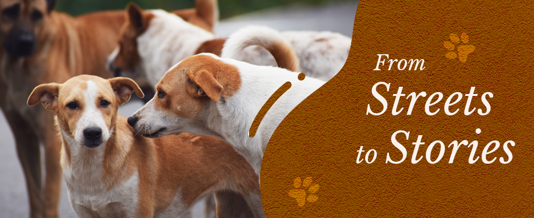 Books About Indian Dogs