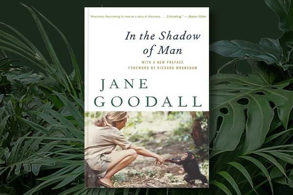 In the Shadow of Man