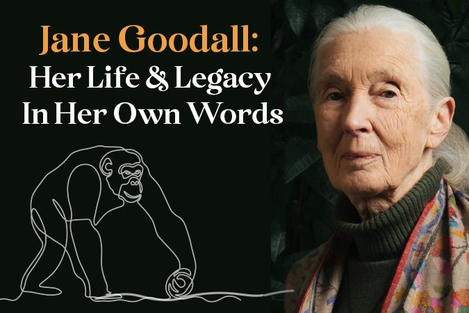Jane Goodall Books