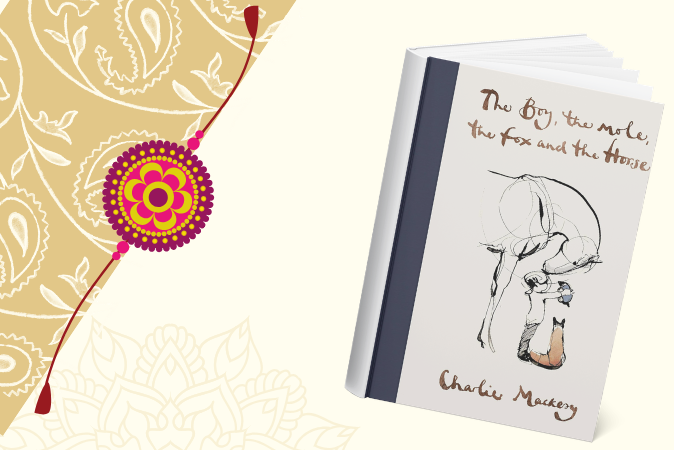 Raksha Bandhan books for sis