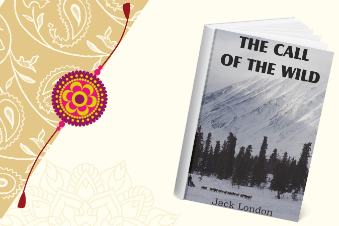 Raksha Bandhan books on discount